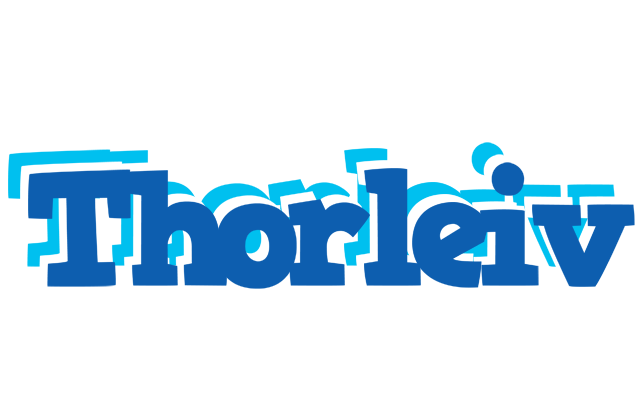 Thorleiv business logo