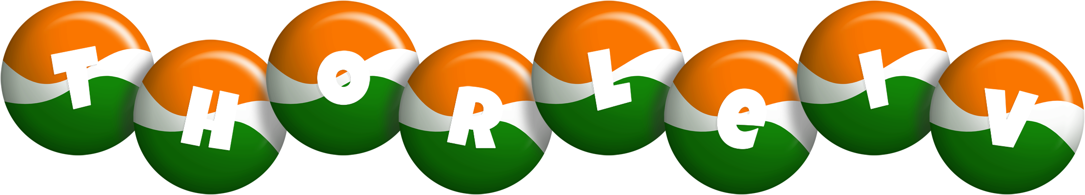 Thorleiv india logo