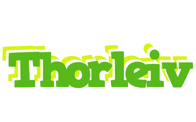Thorleiv picnic logo