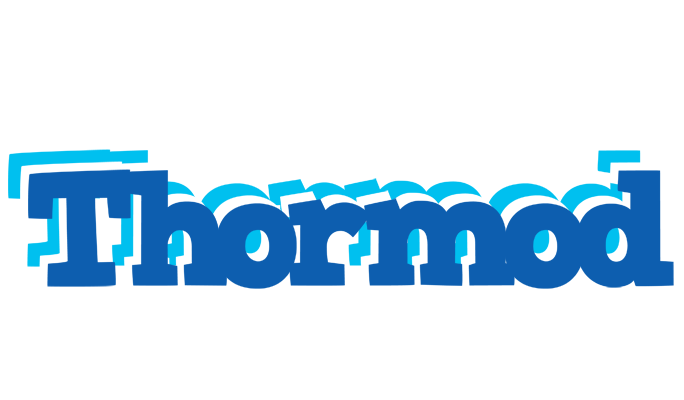 Thormod business logo
