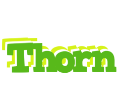 Thorn picnic logo