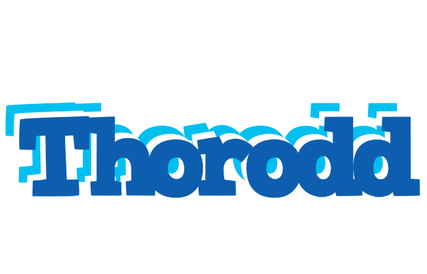 Thorodd business logo