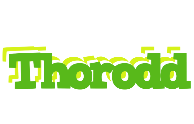 Thorodd picnic logo