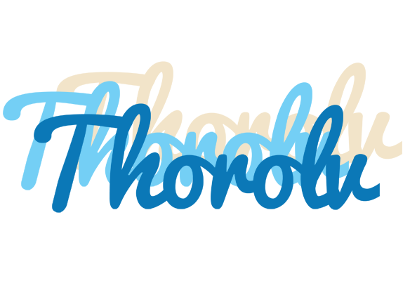 Thorolv breeze logo