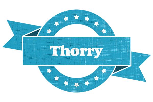 Thorry balance logo