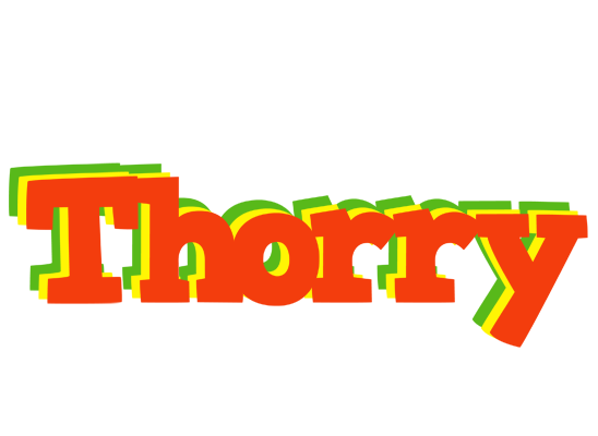 Thorry bbq logo