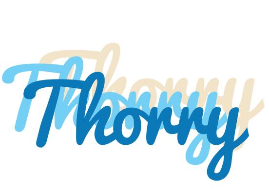 Thorry breeze logo