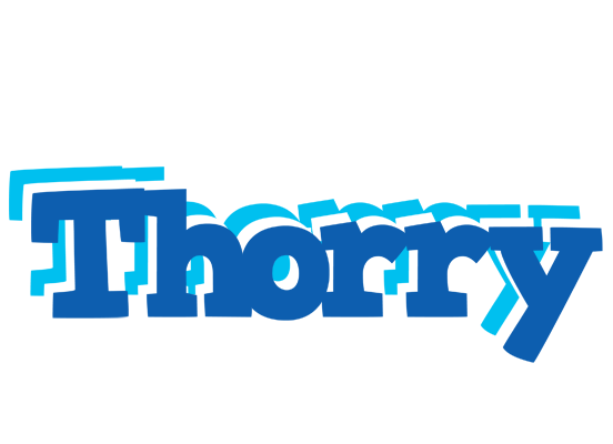 Thorry business logo