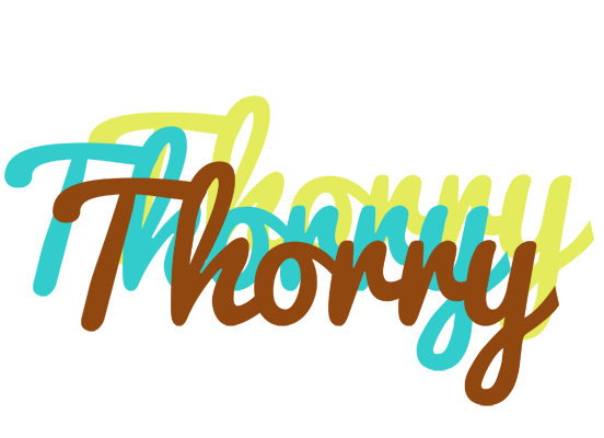 Thorry cupcake logo