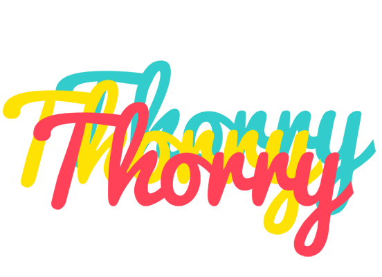 Thorry disco logo