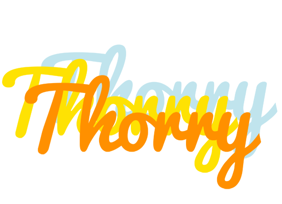 Thorry energy logo