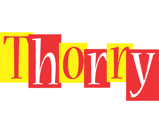 Thorry errors logo