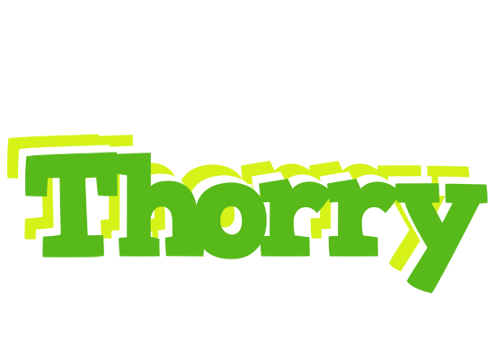 Thorry picnic logo