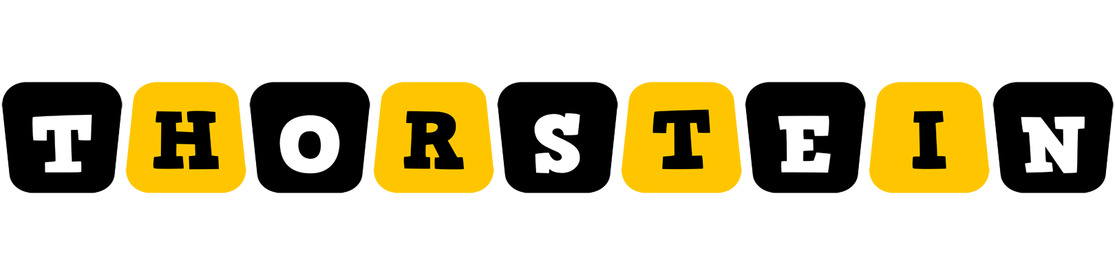 Thorstein boots logo