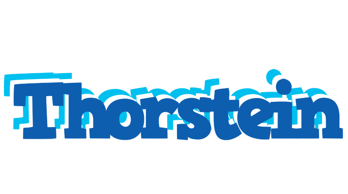 Thorstein business logo
