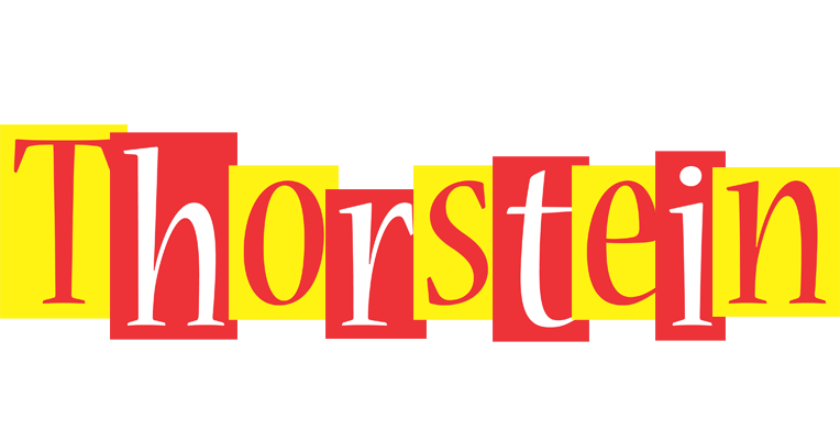 Thorstein errors logo