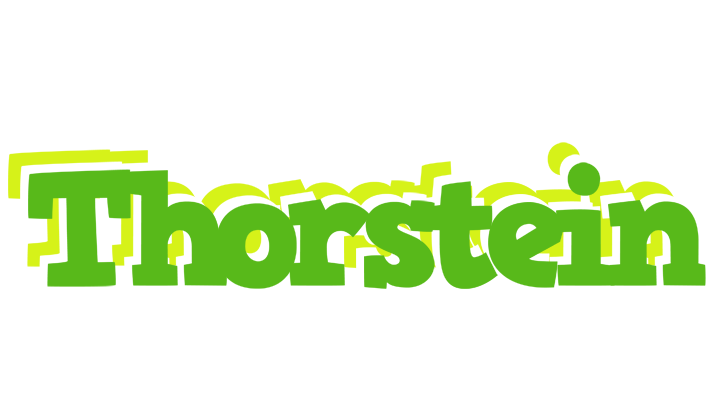 Thorstein picnic logo