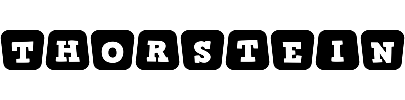 Thorstein racing logo