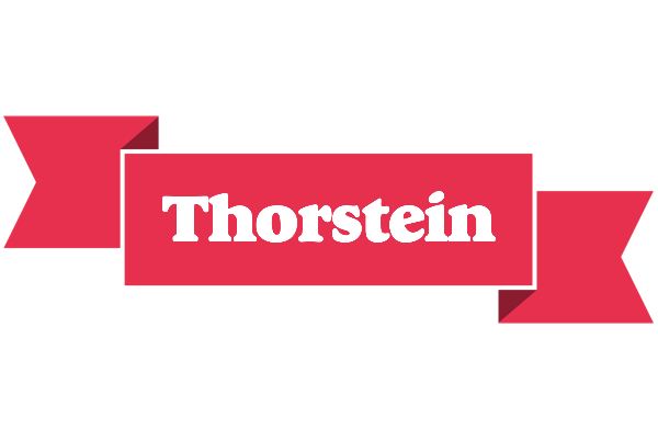 Thorstein sale logo