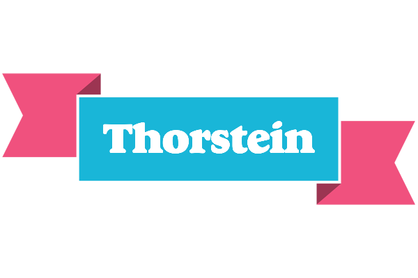 Thorstein today logo