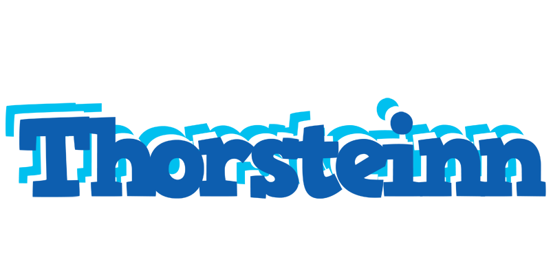 Thorsteinn business logo