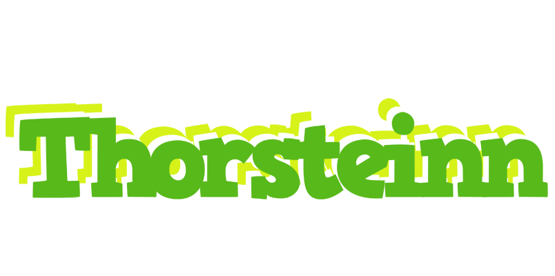 Thorsteinn picnic logo