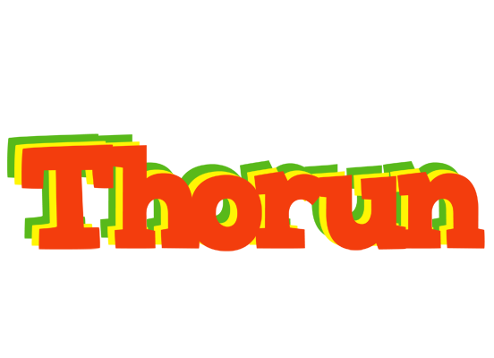 Thorun bbq logo