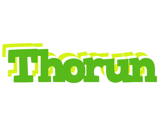 Thorun picnic logo