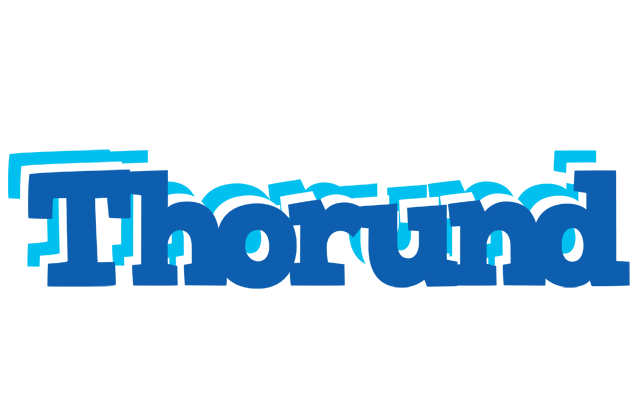 Thorund business logo