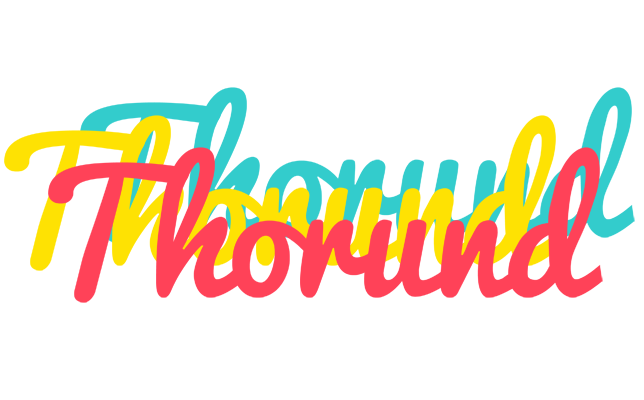 Thorund disco logo