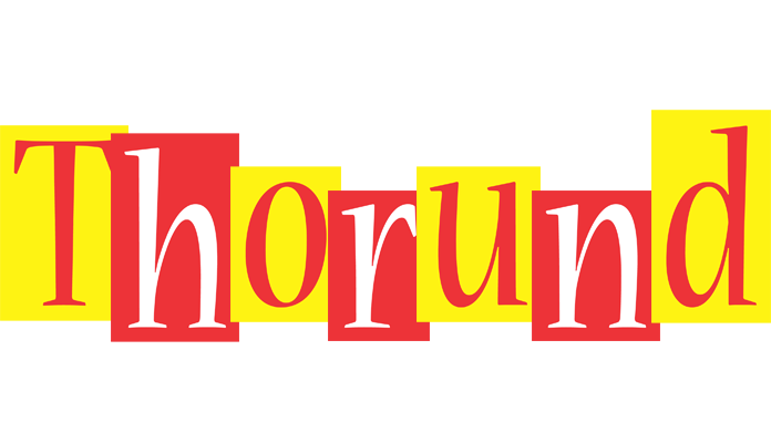 Thorund errors logo