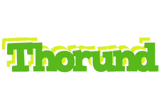 Thorund picnic logo