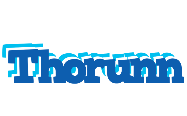 Thorunn business logo