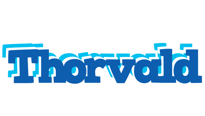 Thorvald business logo