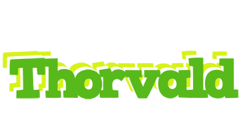 Thorvald picnic logo