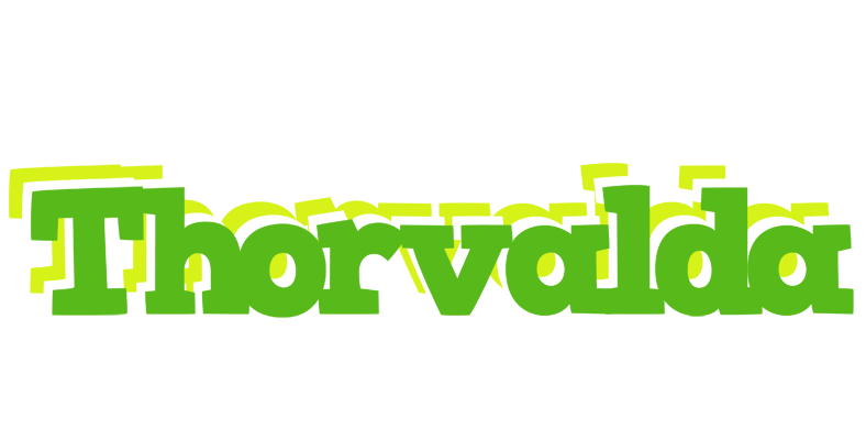 Thorvalda picnic logo
