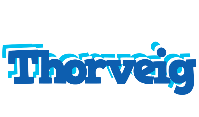 Thorveig business logo