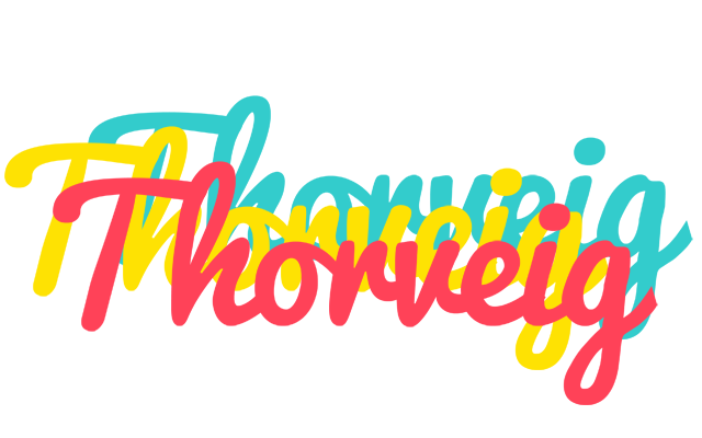 Thorveig disco logo