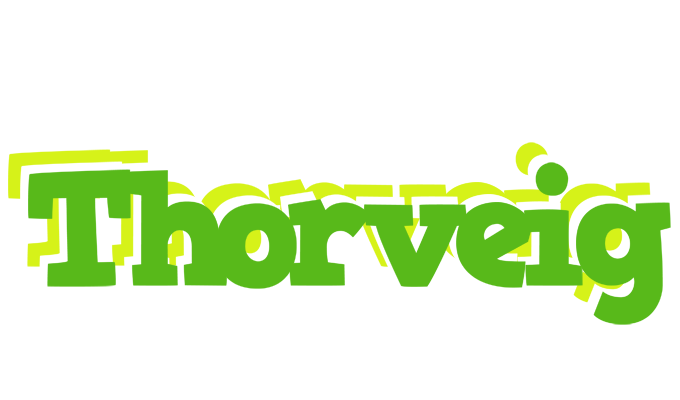 Thorveig picnic logo
