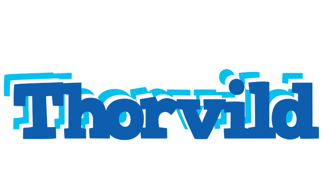 Thorvild business logo