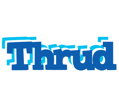 Thrud business logo