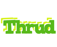 Thrud picnic logo