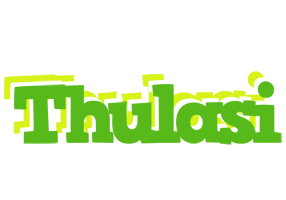 Thulasi picnic logo