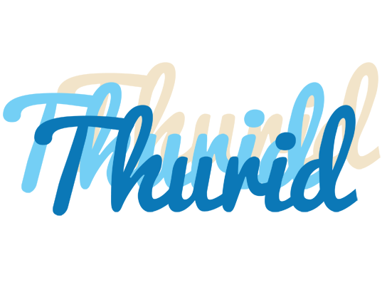 Thurid breeze logo