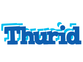 Thurid business logo