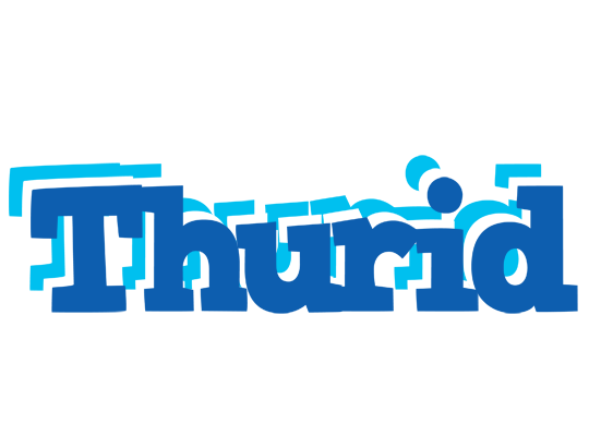 Thurid business logo