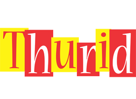 Thurid errors logo