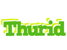 Thurid picnic logo