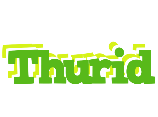 Thurid picnic logo