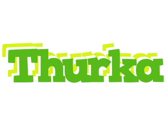 Thurka picnic logo